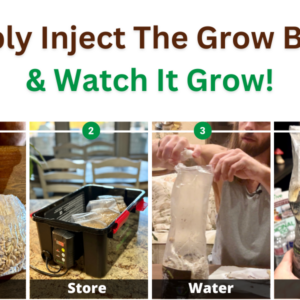 4 steps to inject grow bag with spores