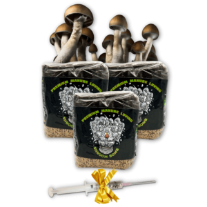 all in one mushroom grow kit happy