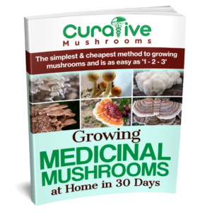 growing medicinal mushrooms at home in 30 day book