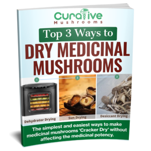 how to dry mushrooms