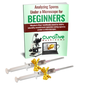 mycology guide with 2 syringes