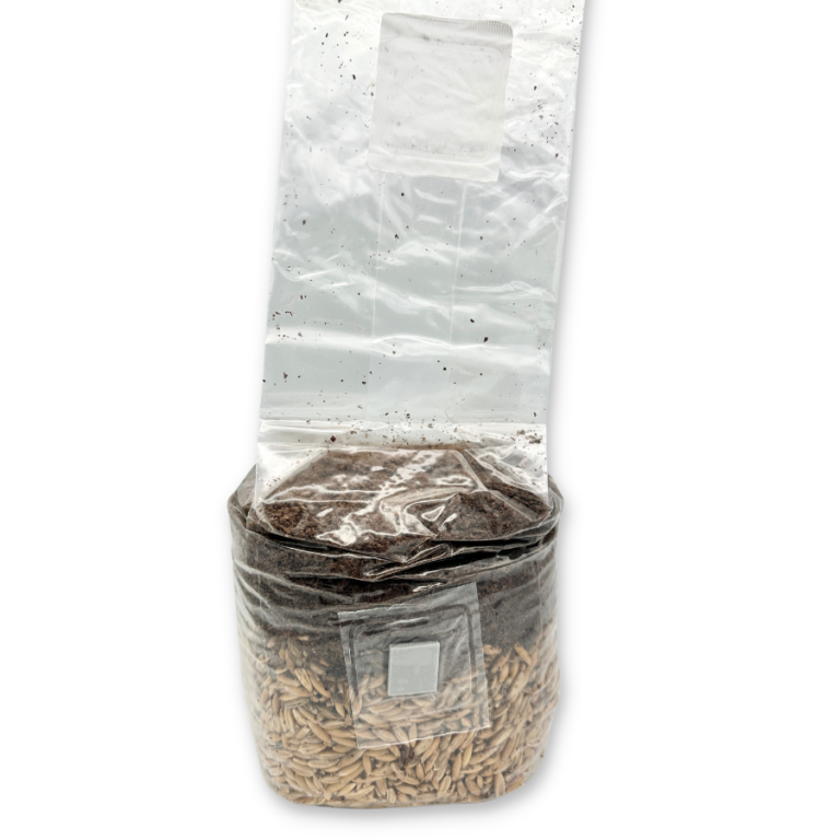 Reishi Mushroom Growing Kit