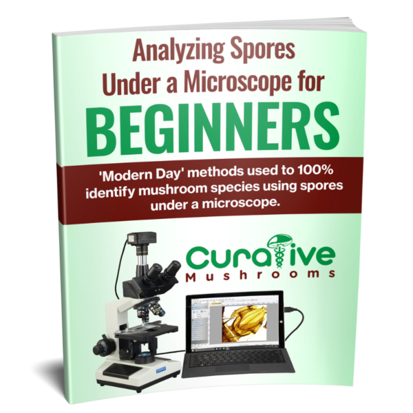 microscopy guide