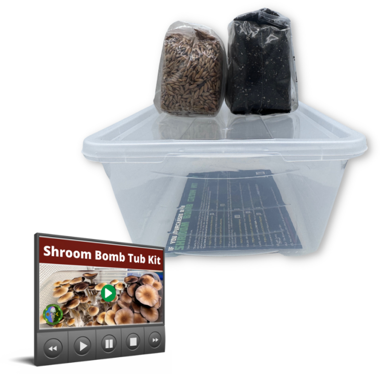 Tub Mushroom Grow Kit