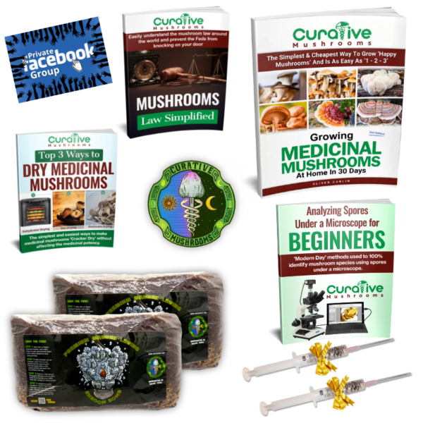 all grow kit items for beginners