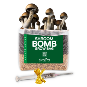 1 grow bag and 1 spore syringe kit