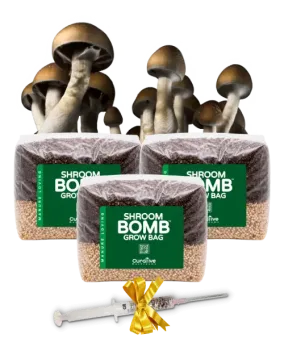 all in one grow kit standard